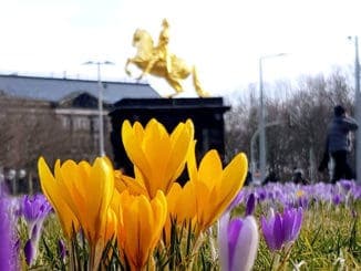 Mit dem Segway in den Dresdner Frühling